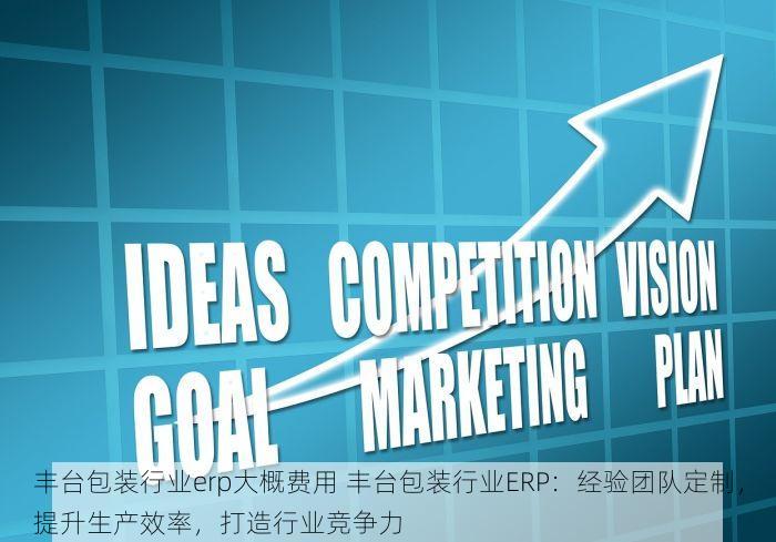 丰台包装行业erp大概费用 丰台包装行业ERP：经验团队定制，提升生产效率，打造行业竞争力