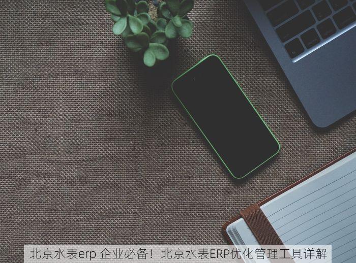 北京水表erp 企业必备！北京水表ERP优化管理工具详解