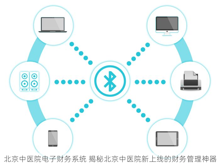 北京中医院电子财务系统 揭秘北京中医院新上线的财务管理神器