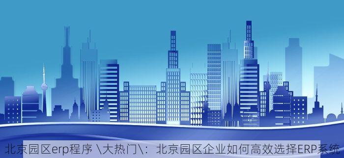 北京园区erp程序 \大热门\：北京园区企业如何高效选择ERP系统