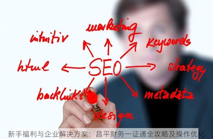 新手福利与企业解决方案：昌平财务一证通全攻略及操作优化