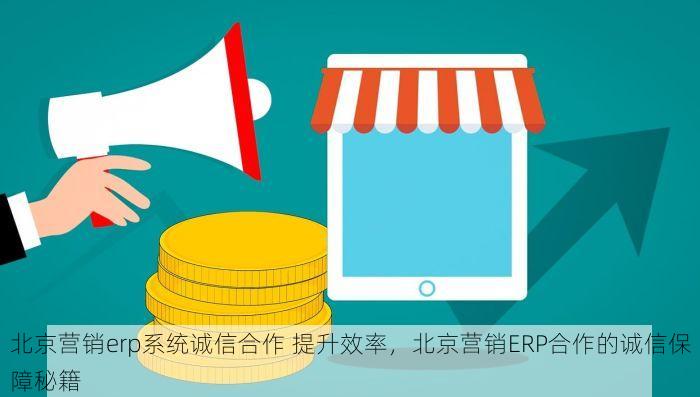 北京营销erp系统诚信合作 提升效率，北京营销ERP合作的诚信保障秘籍