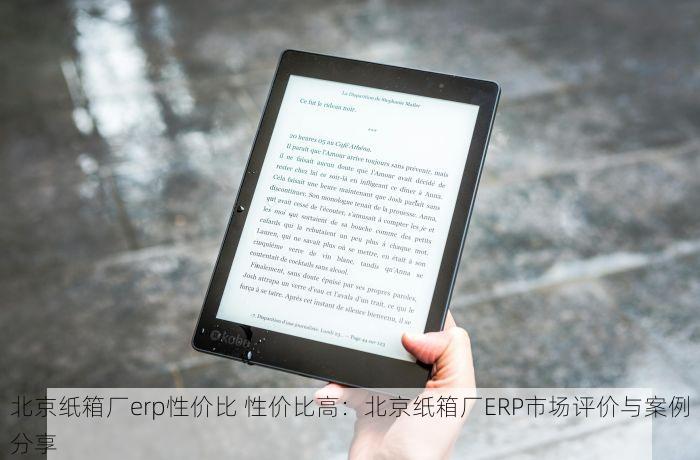 北京纸箱厂erp性价比 性价比高：北京纸箱厂ERP市场评价与案例分享