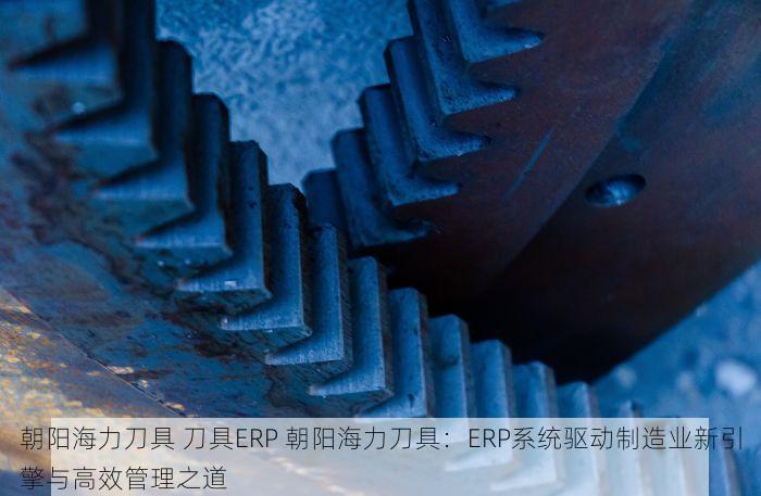 朝阳海力刀具 刀具ERP 朝阳海力刀具：ERP系统驱动制造业新引擎与高效管理之道