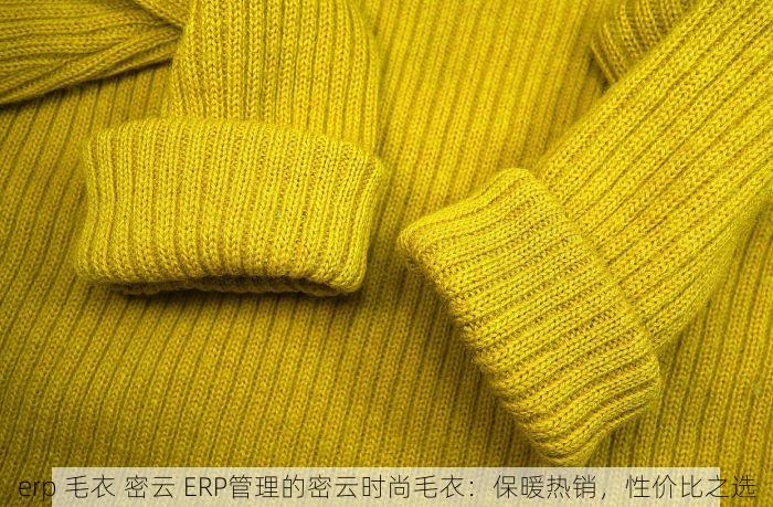 erp 毛衣 密云 ERP管理的密云时尚毛衣：保暖热销，性价比之选