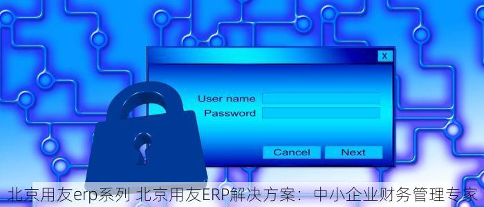北京用友erp系列 北京用友ERP解决方案：中小企业财务管理专家