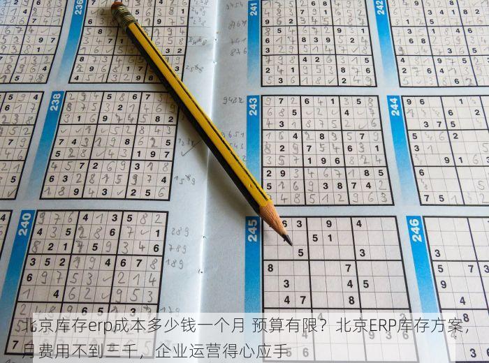 箱包扣erp北京 北京箱包扣ERP，一站式解决方案，助您抢占市场先机