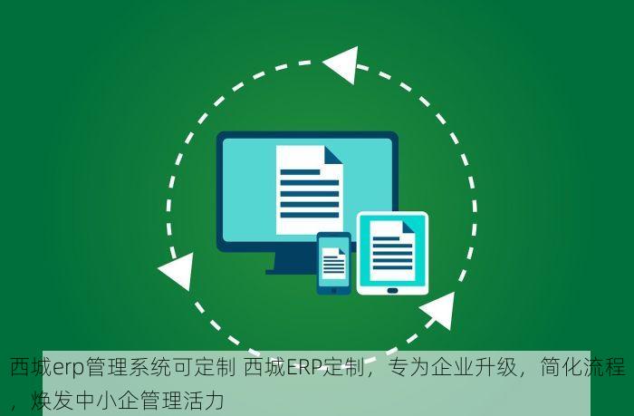 西城erp管理系统可定制 西城ERP定制，专为企业升级，简化流程，焕发中小企管理活力