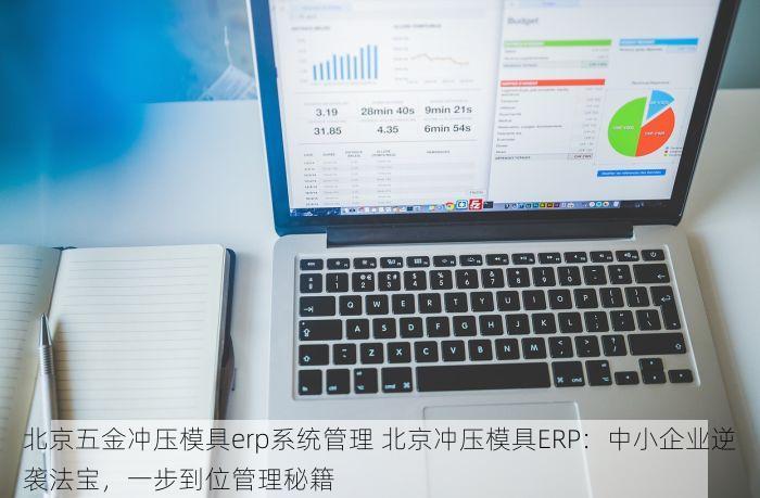 北京五金冲压模具erp系统管理 北京冲压模具ERP：中小企业逆袭法宝，一步到位管理秘籍