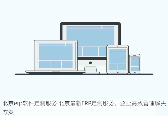 北京erp软件定制服务 北京最新ERP定制服务，企业高效管理解决方案