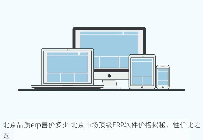 北京品质erp售价多少 北京市场顶级ERP软件价格揭秘，性价比之选