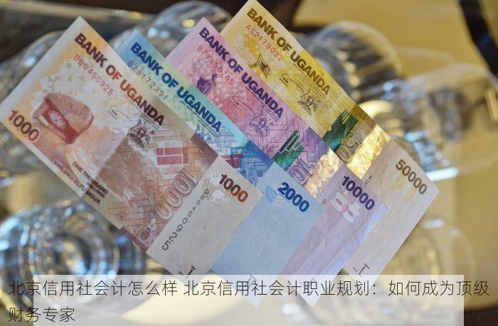 北京发票北京验票系统查询 告别繁琐流程，北京发票查询系统轻松搞定验票难题
