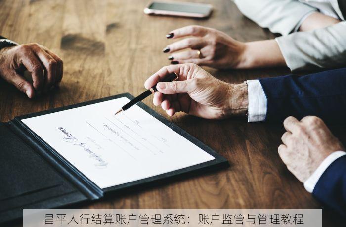 昌平人行结算账户管理系统：账户监管与管理教程