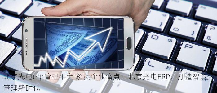 北京光电erp管理平台 解决企业痛点：北京光电ERP，打造智能化管理新时代