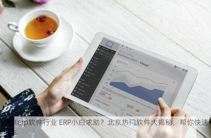 北京erp软件行业 ERP小白求助？北京热门软件大揭秘，帮你快速上手