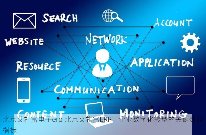 北京艾礼富电子erp 北京艾礼富ERP：企业数字化转型的关键数据指标
