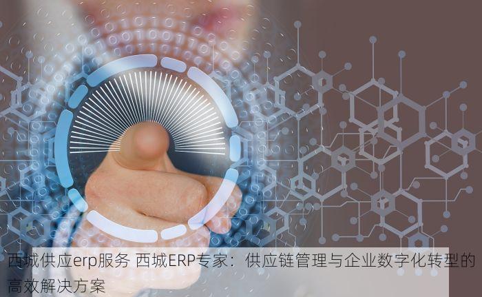 西城供应erp服务 西城ERP专家：供应链管理与企业数字化转型的高效解决方案