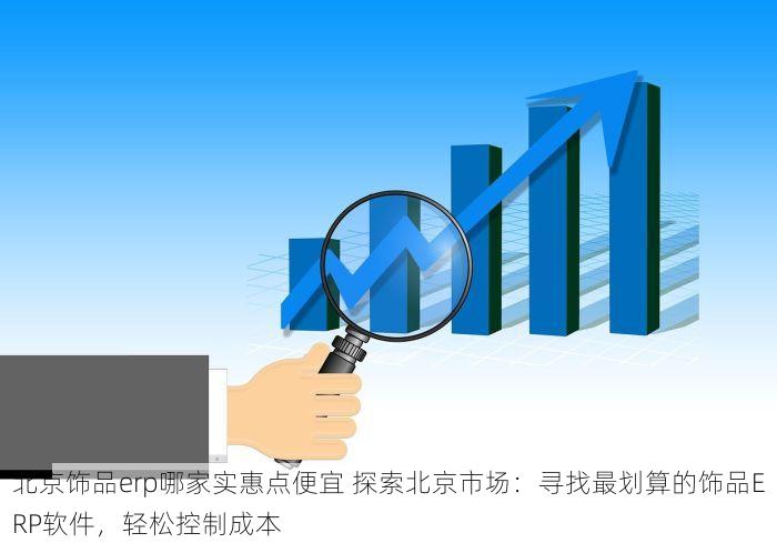 北京饰品erp哪家实惠点便宜 探索北京市场：寻找最划算的饰品ERP软件，轻松控制成本
