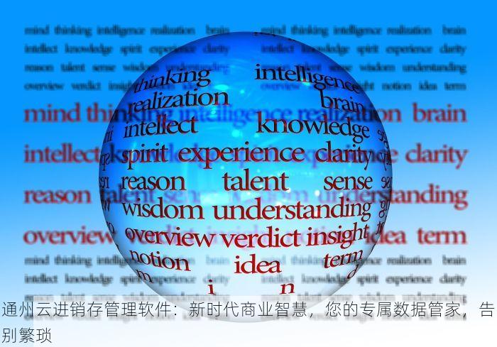 通州云进销存管理软件：新时代商业智慧，您的专属数据管家，告别繁琐