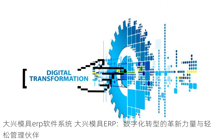 大兴模具erp软件系统 大兴模具ERP：数字化转型的革新力量与轻松管理伙伴
