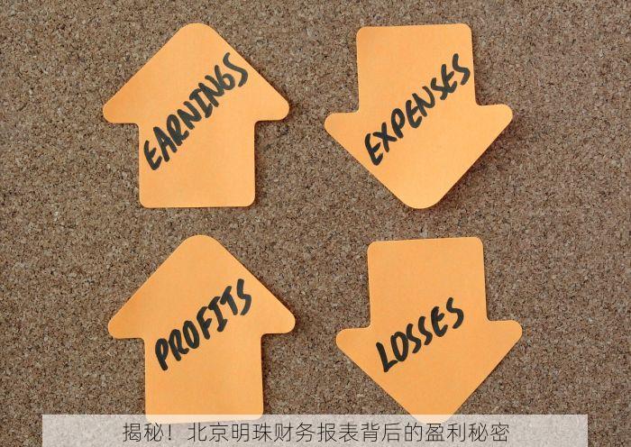 揭秘！北京明珠财务报表背后的盈利秘密