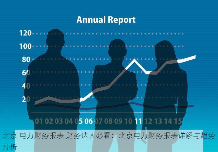 北京 电力财务报表 财务达人必看：北京电力财务报表详解与趋势分析