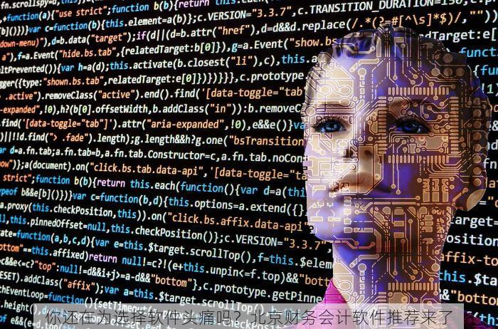 你还在为选择软件头痛吗？北京财务会计软件推荐来了