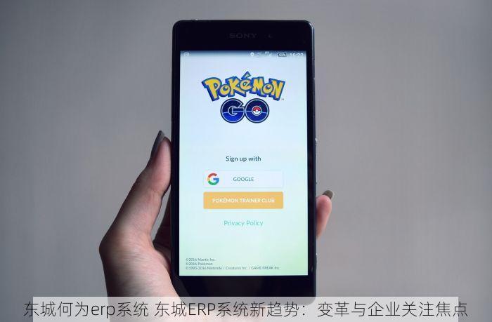 东城何为erp系统 东城ERP系统新趋势：变革与企业关注焦点