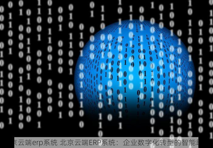 北京云端erp系统 北京云端ERP系统：企业数字化转型的智能助手