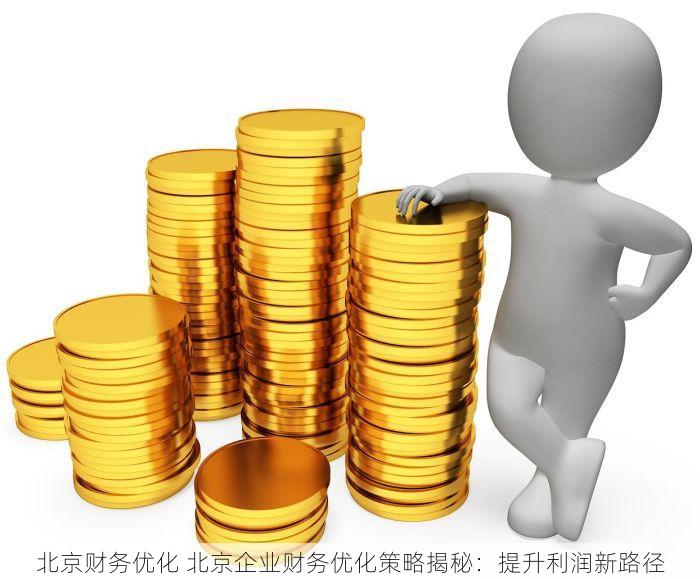 北京财务优化 北京企业财务优化策略揭秘：提升利润新路径