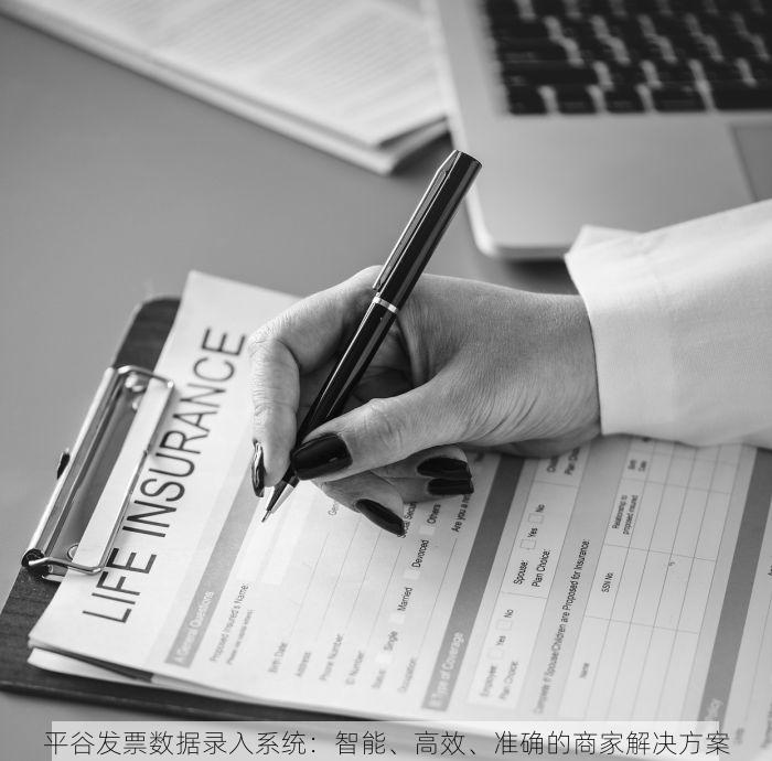 平谷发票数据录入系统：智能、高效、准确的商家解决方案