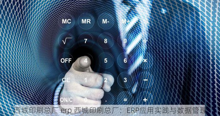 西城印刷总厂 erp 西城印刷总厂：ERP应用实践与数据管理