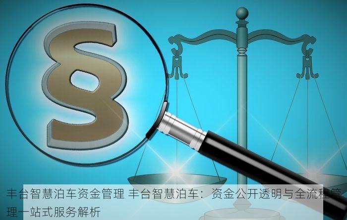 丰台智慧泊车资金管理 丰台智慧泊车：资金公开透明与全流程管理一站式服务解析
