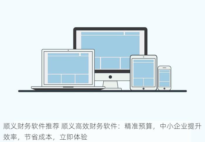 顺义财务软件推荐 顺义高效财务软件：精准预算，中小企业提升效率，节省成本，立即体验