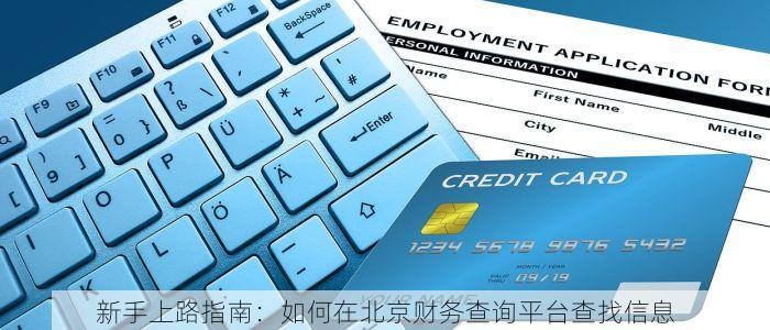 新手上路指南：如何在北京财务查询平台查找信息