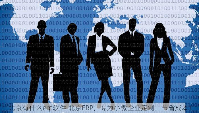 北京有什么erp软件 北京ERP，专为小微企业定制，节省成本！