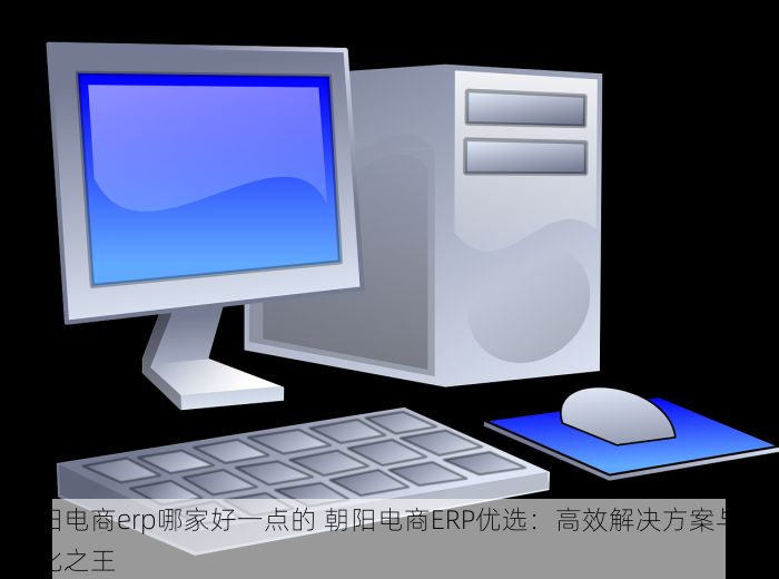 朝阳电商erp哪家好一点的 朝阳电商ERP优选：高效解决方案与性价比之王