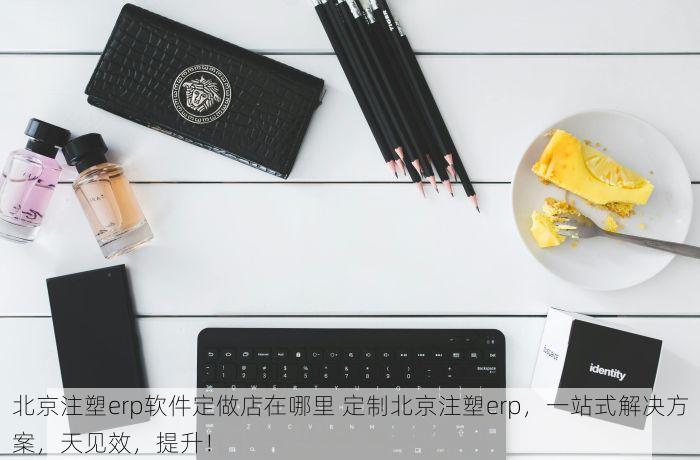 北京注塑erp软件定做店在哪里 定制北京注塑erp，一站式解决方案，天见效，提升！