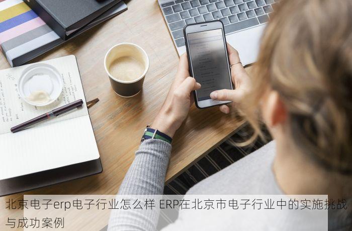 北京电子erp电子行业怎么样 ERP在北京市电子行业中的实施挑战与成功案例