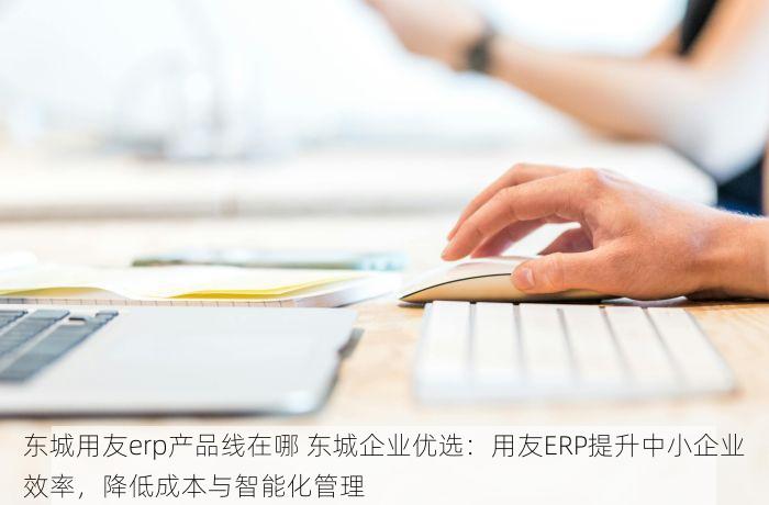东城用友erp产品线在哪 东城企业优选：用友ERP提升中小企业效率，降低成本与智能化管理