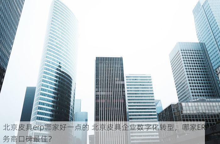 北京皮具erp哪家好一点的 北京皮具企业数字化转型，哪家ERP服务商口碑最佳？