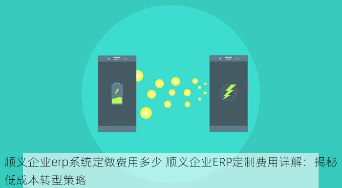 顺义企业erp系统定做费用多少 顺义企业ERP定制费用详解：揭秘低成本转型策略