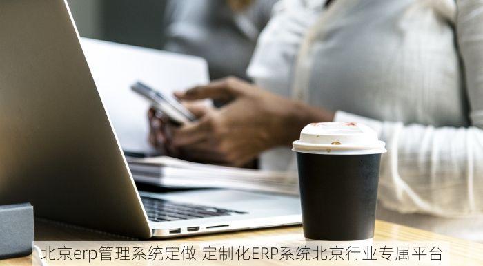 北京erp管理系统定做 定制化ERP系统北京行业专属平台