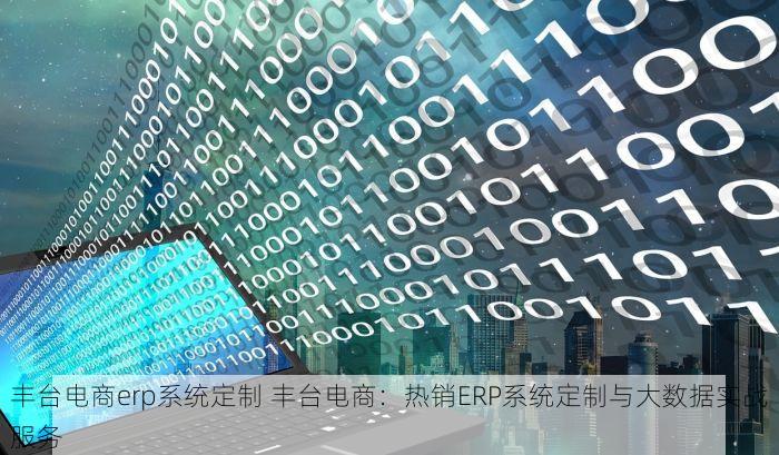 丰台电商erp系统定制 丰台电商：热销ERP系统定制与大数据实战服务