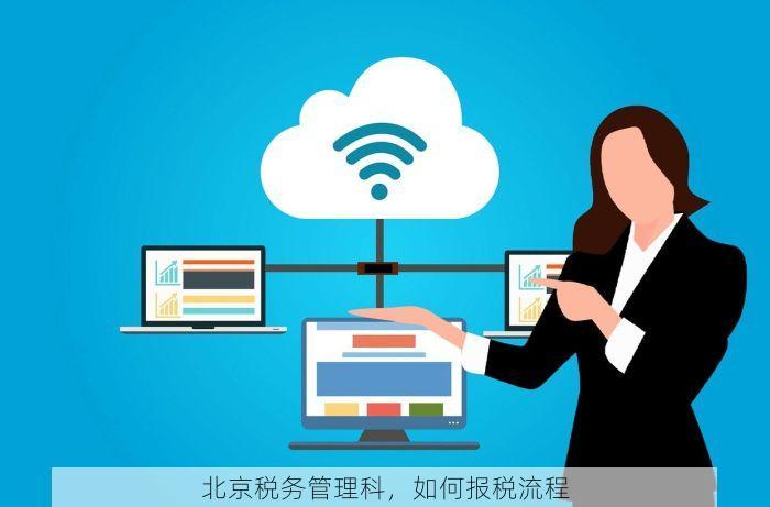 北京税务管理科，如何报税流程