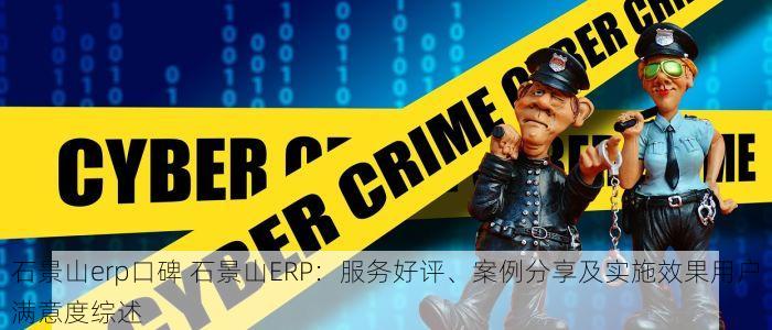 石景山erp口碑 石景山ERP：服务好评、案例分享及实施效果用户满意度综述