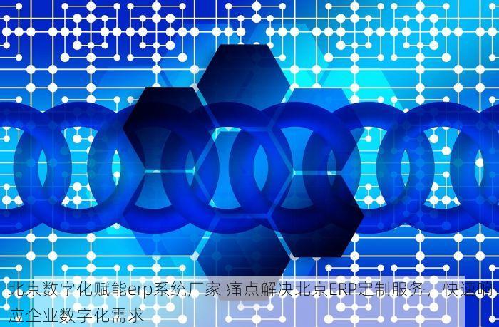 北京数字化赋能erp系统厂家 痛点解决北京ERP定制服务，快速响应企业数字化需求