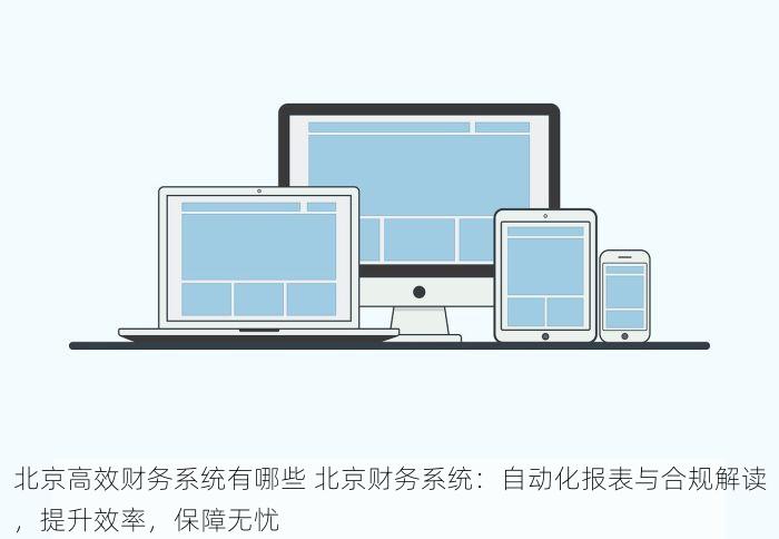 北京高效财务系统有哪些 北京财务系统：自动化报表与合规解读，提升效率，保障无忧