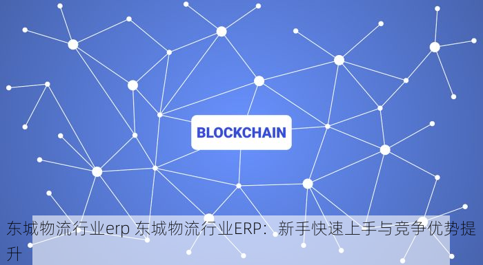 东城物流行业erp 东城物流行业ERP：新手快速上手与竞争优势提升