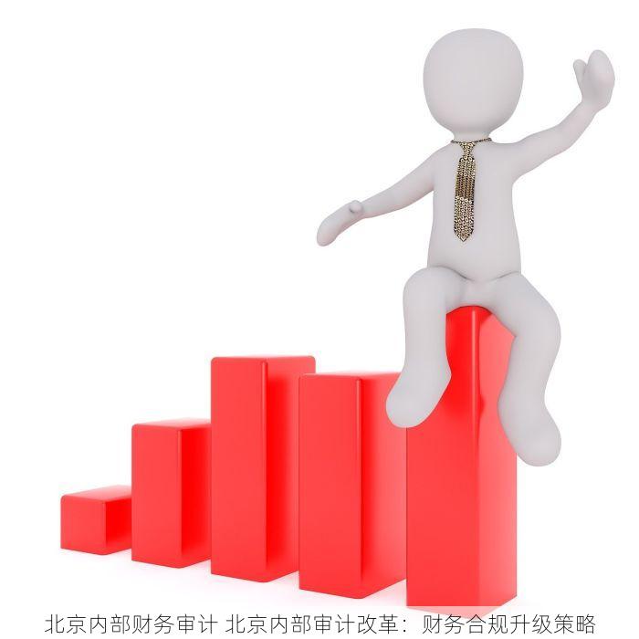 北京内部财务审计 北京内部审计改革：财务合规升级策略